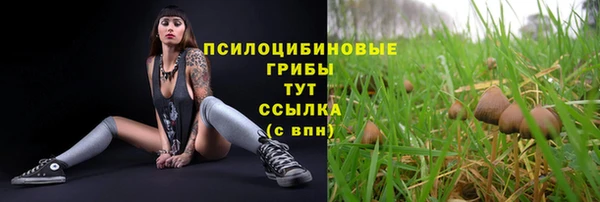амф Алексеевка