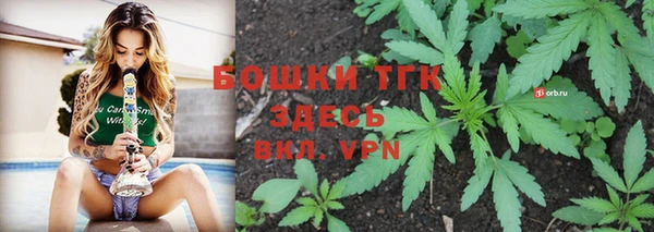 мет Алексин
