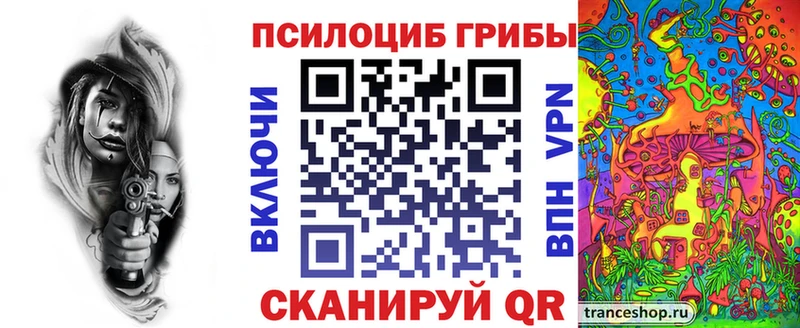 Псилоцибиновые грибы Cubensis  даркнет сайт  Чаплыгин 